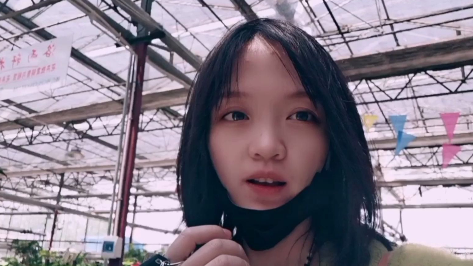 安阳最热闹的花卉市场,买花像买菜,带你一秒进入春天